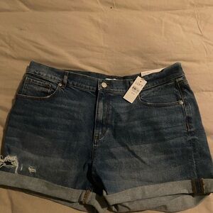 Loft Women's Denim Shorts